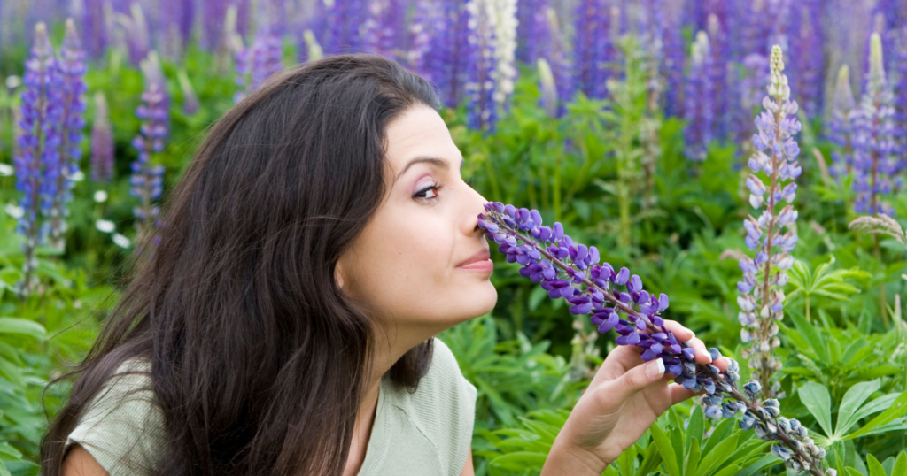 The Science of Scent: How Smells Boost Sales — and Loyalty